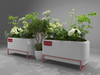 Urban Landscape Planter