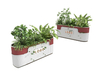 Large Commercial Planter